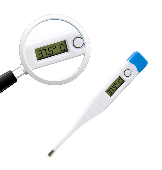 Su uso en casa Termómetro digital con punta rígida electrónica - China Los  termómetros de electrónico de temperatura, termómetros termómetro
